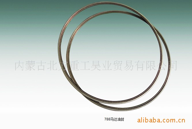 电动轮自卸车GE788电机用  马达密封组件