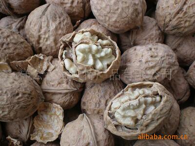 [supply]Yunnan walnut mosaic 500g high quality Yunnan Cardboard Walnut fruit Yunnan Cardboard Walnut