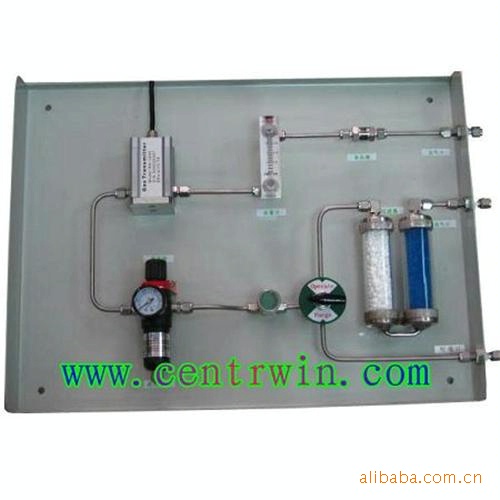 在线氧气分仪 型号：ZH6291