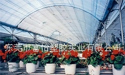 厂家直销抗老化质保5年PE阳光板 宁夏PE阳光板 新疆PE阳光板