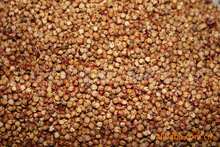 ����  �|������ ���ɸ��� ������   Ŵ����  ����