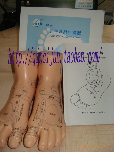 20CM Foot Reflex Area Model (japanese)