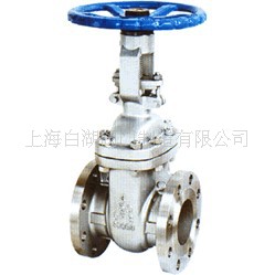 Z41Y 型法兰闸阀 法兰铸钢闸阀 白湖铸钢闸阀闸门