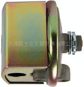 1800(1823)系列差压开关