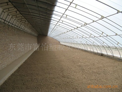 供应湖南吉首PE阳光板 岳阳PE阳光板 长沙PE阳光板 常德PE阳光板