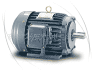 (商务服务）东元刹车防爆电机马达