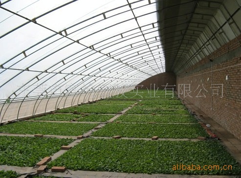 厂家供应蔬菜大棚PE双层保温农膜 富怡PE万通板生产厂家 品质保障