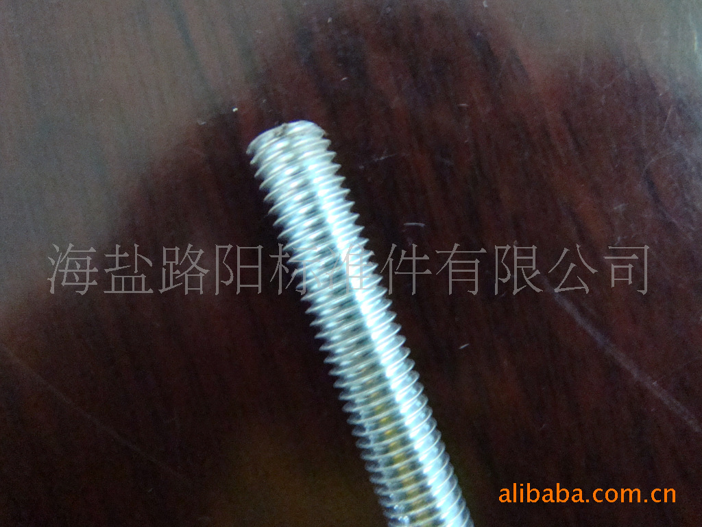 海盐厂家直销国标德标英标丝杆、光伏拉杆，太阳能斜拉丝杆牙棒