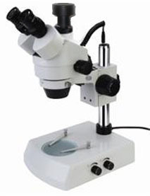 ���a�B�m׃���wҕ�@΢�RXTL7045DN-B2 �����a�wҕ�@΢�R 07/08