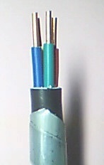 ����·����| ZR-VV22 KVV22(�D)