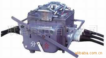 供应FZW28真空断路器VSP5-12