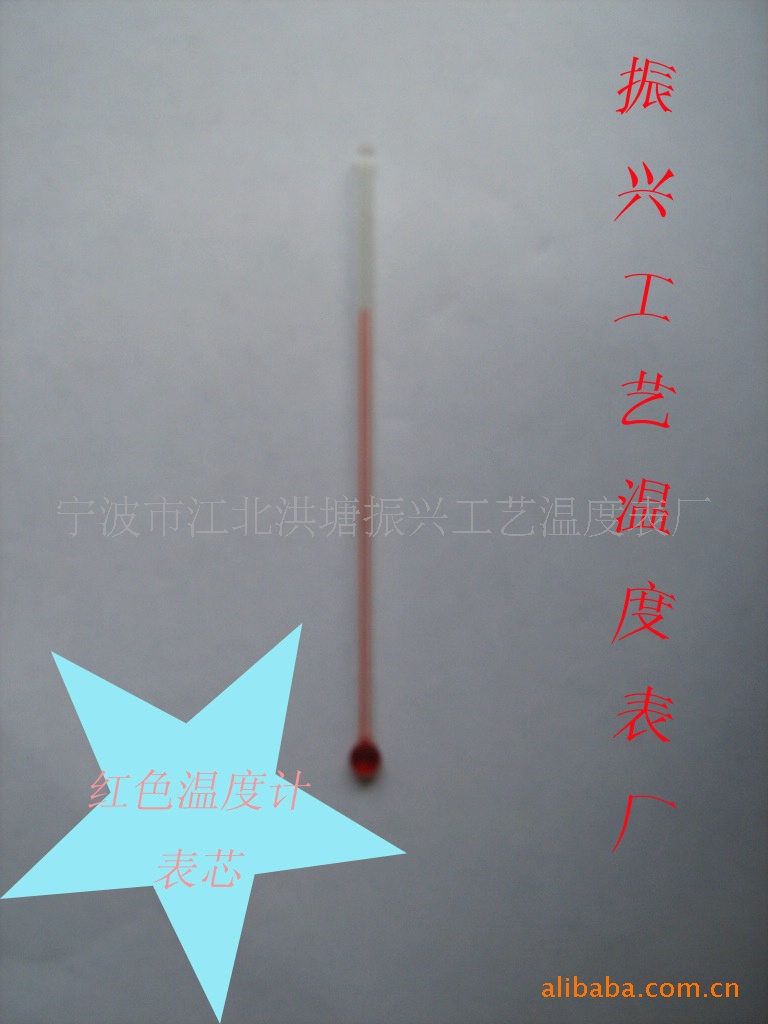 供应温度计 温度计表芯