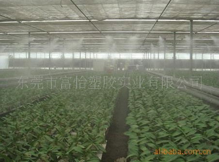 供应内蒙古包头PE双层保温农膜 内蒙古PE万通板 呼和浩特PE阳光板