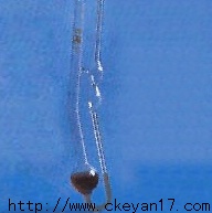 1840芬氏粘度计坎农-芬斯克，粘度计