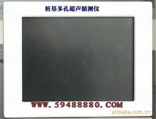 桩基多孔超声循测仪 型号：ZH5853