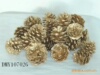 Factory direct selling gold pine cones silver pine cones and other festivals