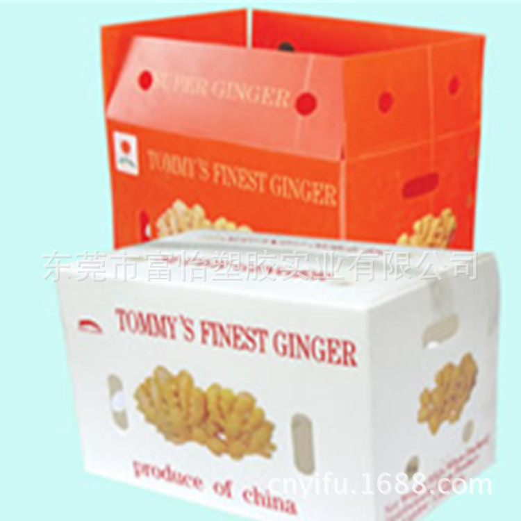 批发供应PP水果周转箱 PP环保防潮蔬菜塑料箱 PP食品包装箱