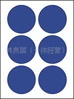 永实高级自粘性标签YS060不干胶圆点12张/包