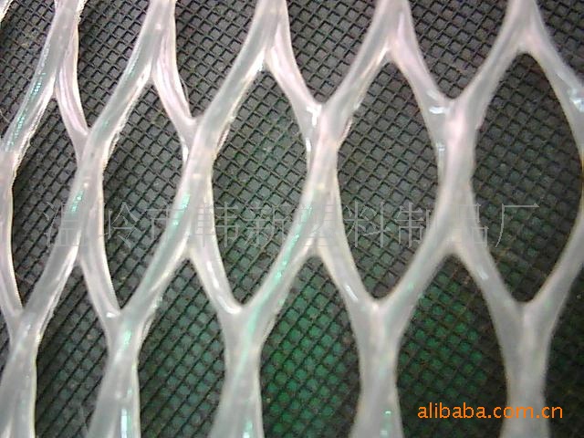韩新塑料网厂家直销 养殖网 垫底网 养鸡网 可定制