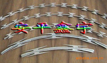 SֱN NƬKRazor Wire FencingBTO22Ƭ̾W