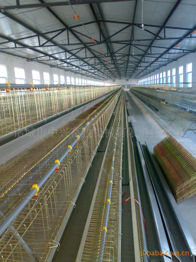 二门育雏笼j价格 三门育雏笼 四门育雏笼厂家直销价格便宜