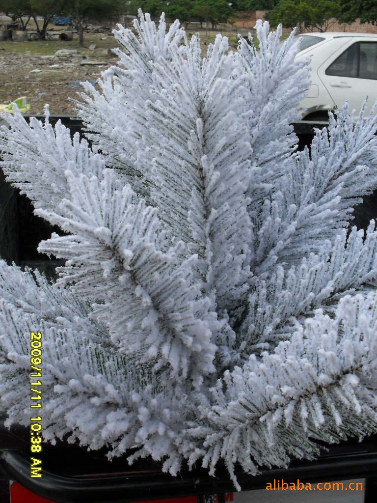 SDC13919