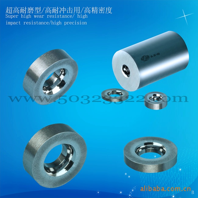 内镜面模具       导线模