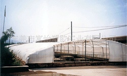 批发供应吴忠市PE阳光板 吴忠市PE万通板 吴忠市PE中空板