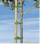 【PAIHE柏和】厂家批发 彩色尼龙魔术贴搭扣粘扣带植物魔术贴绑带