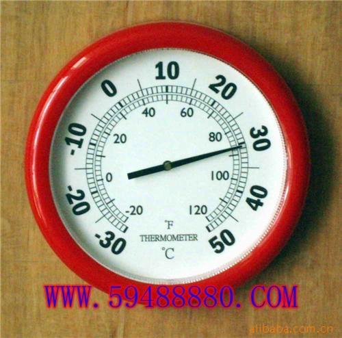 DJQ-T9250P  塑料温度计250MM