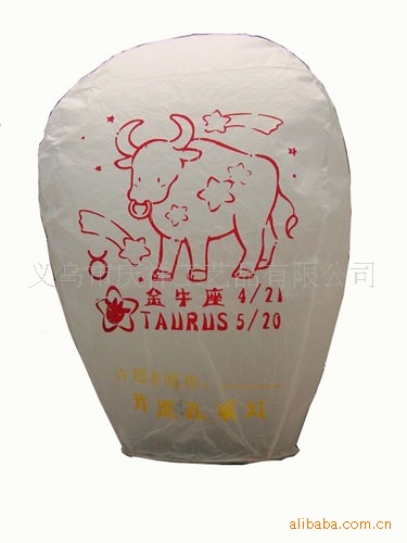 2007114123639DSCI0025