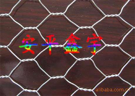 厂家直销 拧编铁丝网 拧编六角网 不锈钢六角网 防锈拧花网