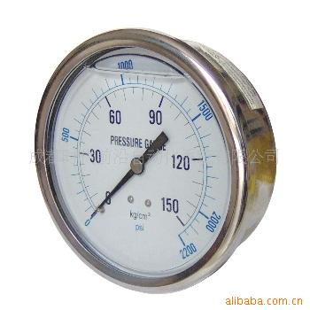 eraqy  意瑞  4"轴向充油压力表