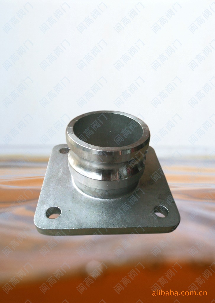 不锈钢法兰阳端