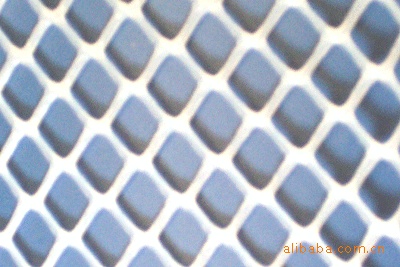 【厂家直销】供应塑料网 上海优质聚乙烯塑料平网