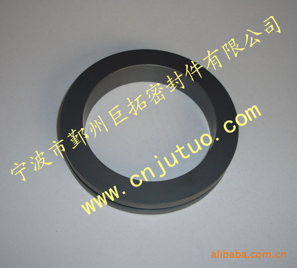 供应无压烧结碳化硅(SSiC)密封环