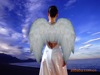 2016 New Year children Angel wings Feather wings Wedding celebration Angel wings