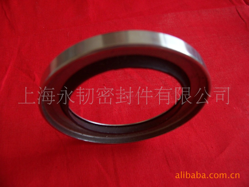 不锈钢组合油封