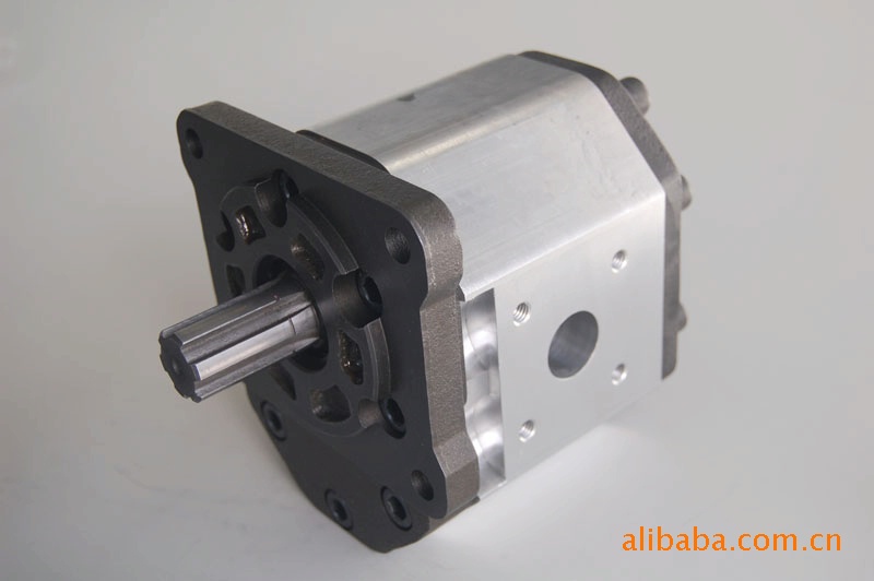 正反转齿轮 双转向齿轮泵 双向泵 双向液压泵