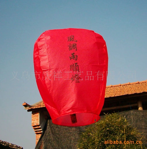 2007114125238DSCI0222