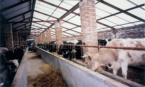 批发供应甘肃甘南牛羊暖棚PE万通板 畜牧养殖大棚PE阳光板 采暖板