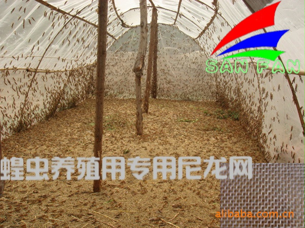 Main nylon filter screen Nylon mesh,Complete material