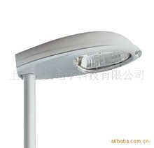 w·SGS453/SON-T 250W  w·ridium