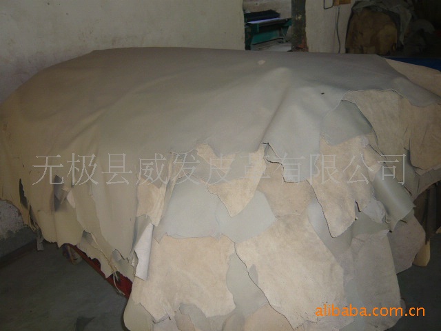 P1010777