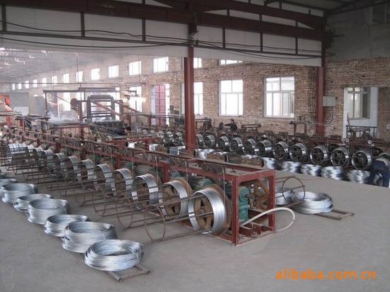 厂家供应葡萄架用热镀锌钢丝，钢丝，不锈钢丝