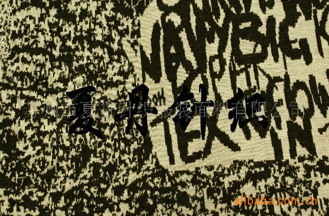 供应·T+··S`T大提花布(图)，涤，功能性，双面布