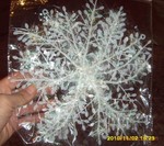ʥ�����Ҽ���23CMѩ��Ƭ ������ֱ��