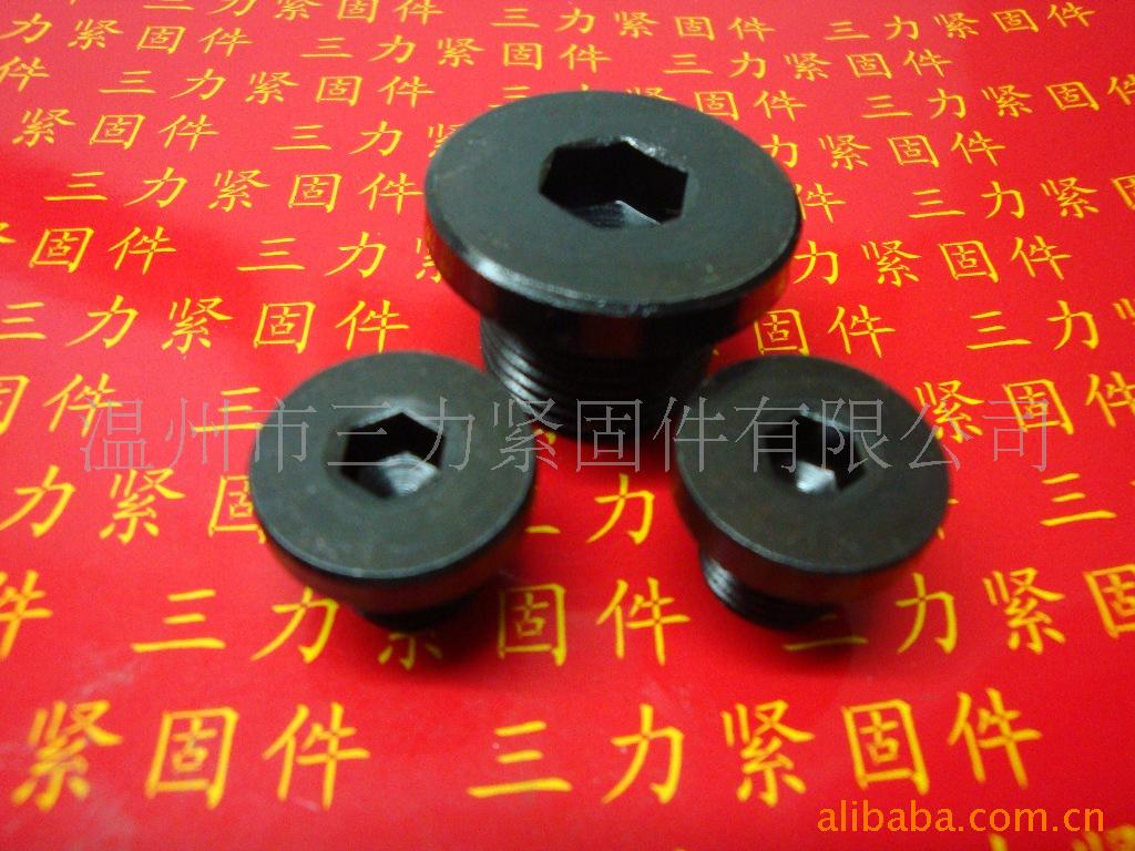 供应德标内六角螺塞,不锈钢丝堵