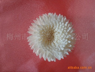 ��Ǿջ� ͨ�ݻ� ֲ��ɻ� ��޹���͹�ˇƷ SOLA flower ׃ɫ��