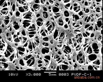 疏水聚偏氟乙烯（PVDF）微孔过滤膜
